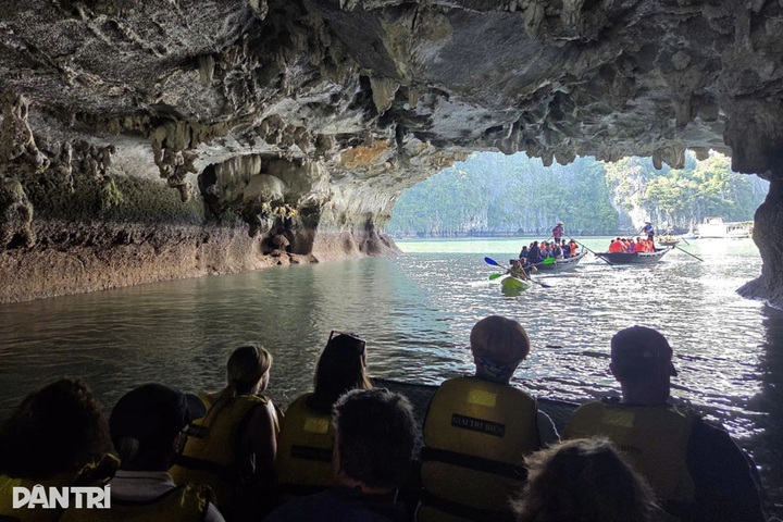 Kayaking through Luon Cave reveals tranquil side of Ha Long Bay - 5