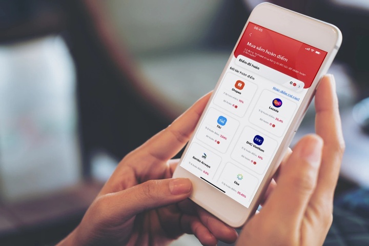 Vietnam e-commerce hits USD 31bn, ranks among global top 10 for growth - 1