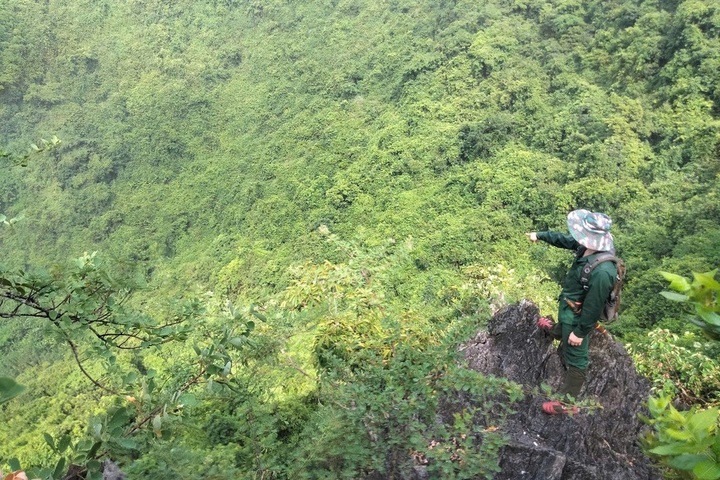 37 rare Delacour’s langurs discovered in northern Vietnam - 1