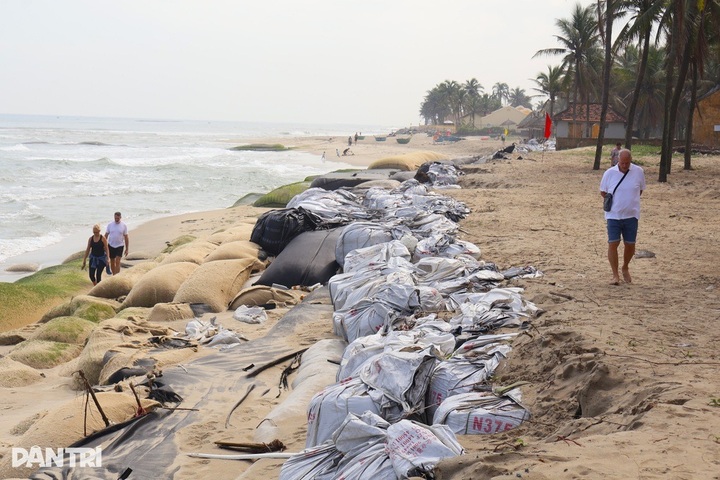 Erosion persists along Hoi An coast - 3