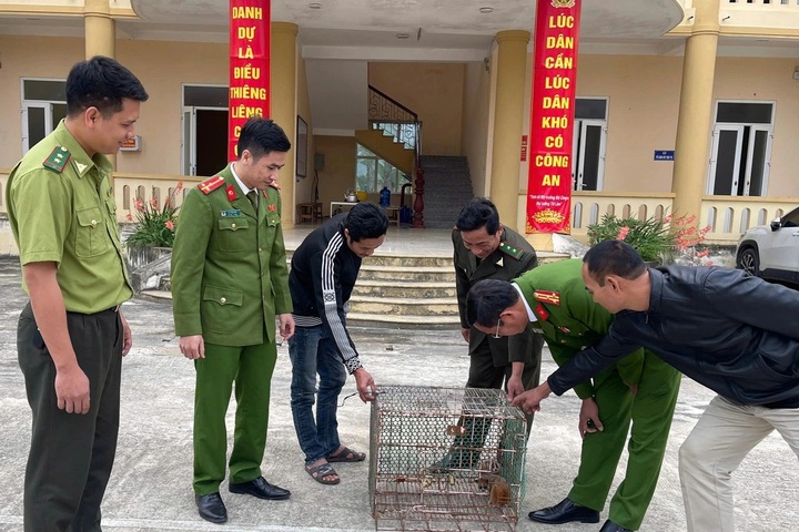 Rare python and two pygmy slow lorises handed over in Thanh Hoa - 1