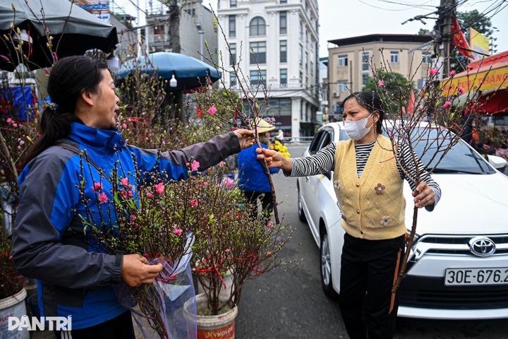 Early-blooming peach blossoms signal early Tet in Hanoi - 7
