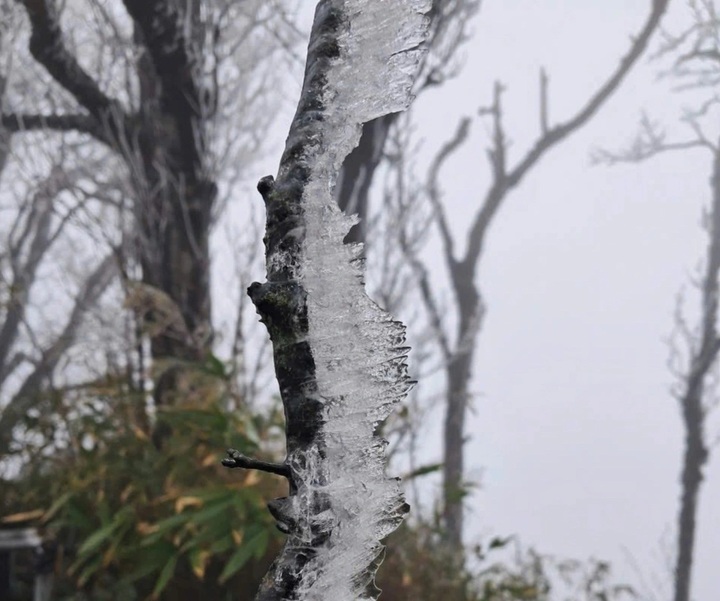 Frost blankets northern Vietnam as cold spell intensifies - 1