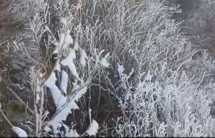 Frost blankets Fansipan peak as temperatures hit zero - 1