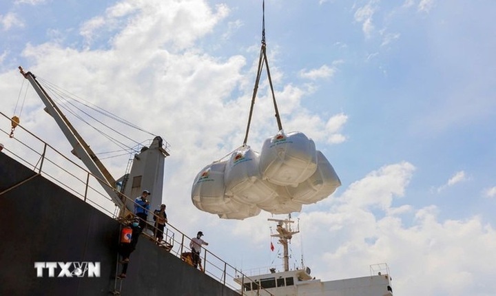 Vietnam exports over 8 million tonnes of rice in 2025 - 1