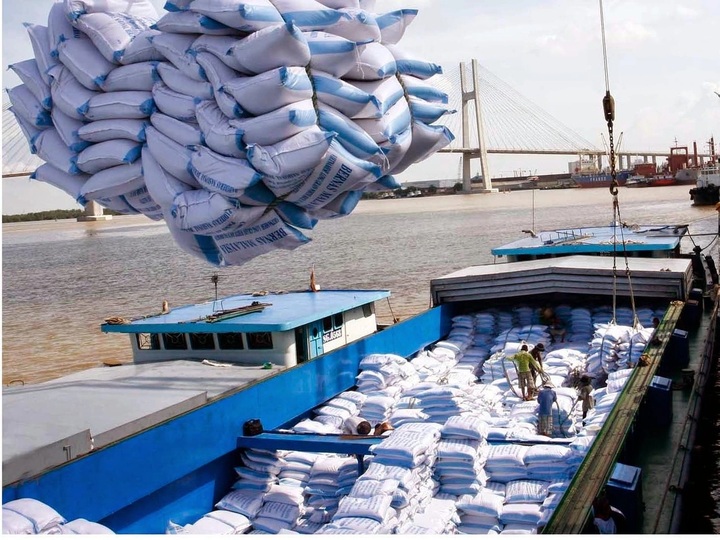 Vietnam to proactively reduce rice exports from 2026 - 1