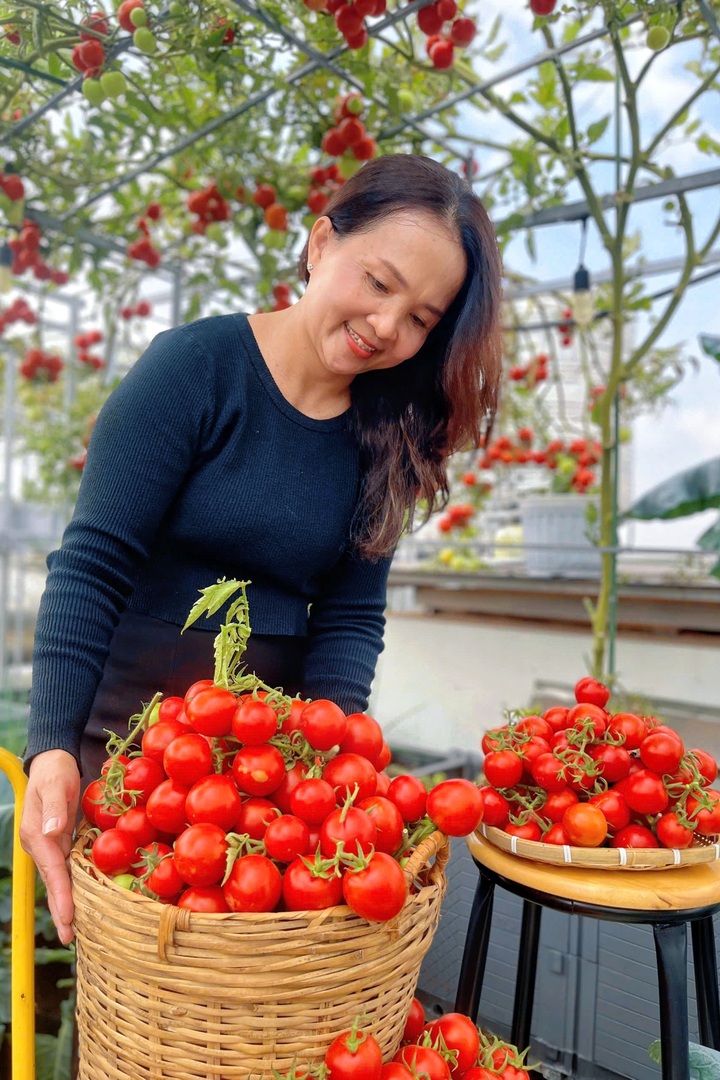 HCM City woman turns rooftop tomato garden into Tet photo spot - 3