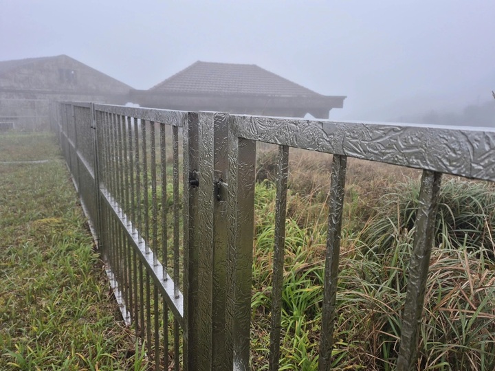 Frost blankets Mau Son peak as temperatures drop below zero - 1
