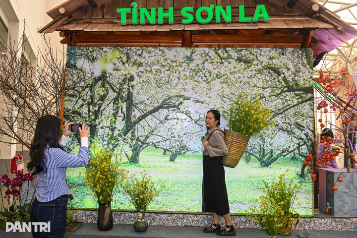 Unique cultural space of three regions introduced at Spring Fair 2026 - 13