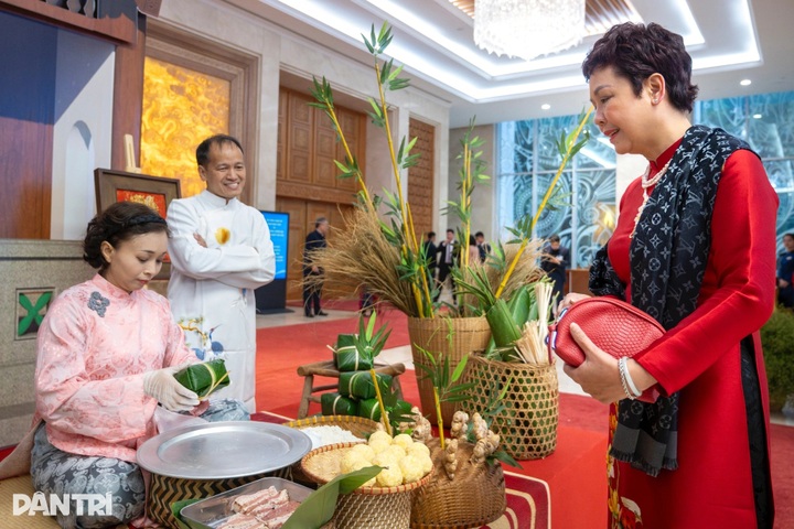 Vietnam’s prime minister hosts Tet reception for diplomatic corps - 11 Vietnam’s prime minister hosts Tet reception for diplomatic corps - 11