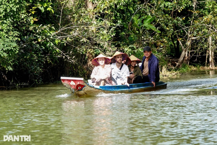 Foreign visitors drawn to melaleuca forest tours in Mekong Delta - 2 Foreign visitors drawn to melaleuca forest tours in Mekong Delta - 2