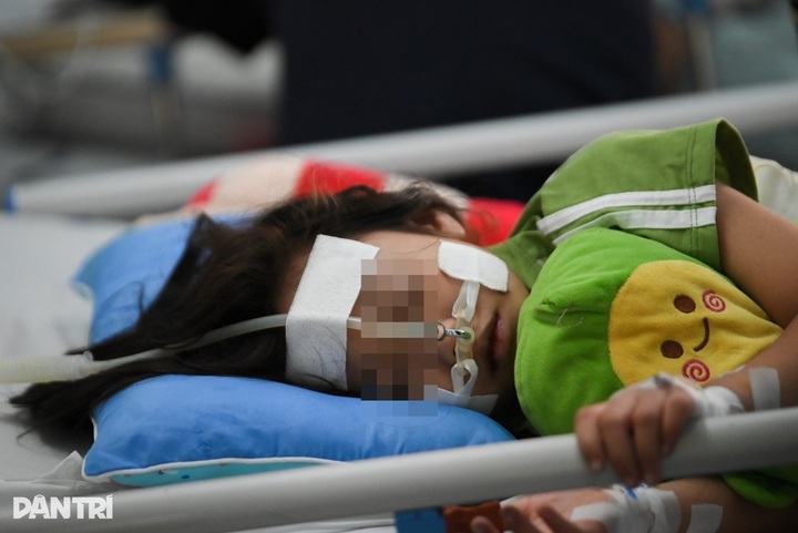 Ho Chi Minh City warned of early dengue fever season - 1