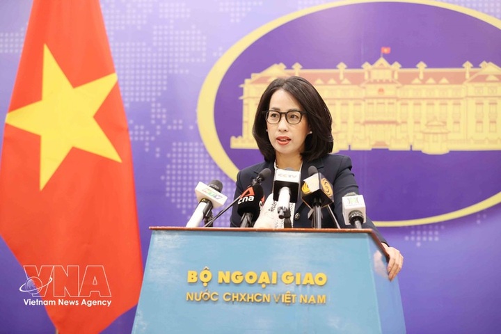 Measures underway to ensure Vietnam’s energy security: Spokesperson - 1