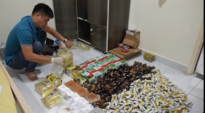 Ho Chi Minh City aims to become drug free by 2030 - 1
