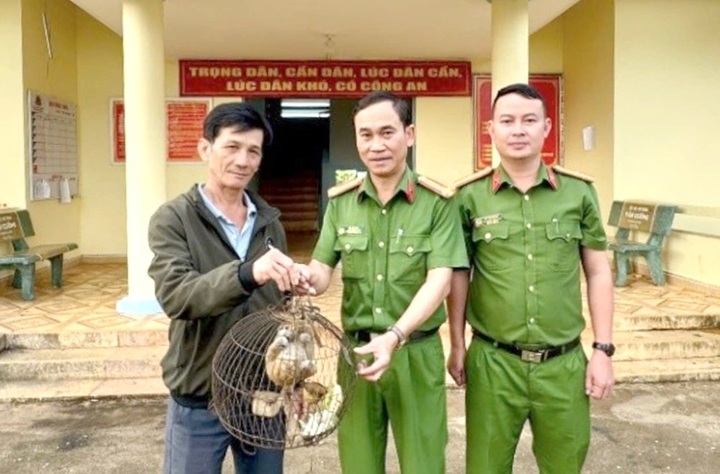 Lam Dong man discovers rare pygmy slow loris at home - 1