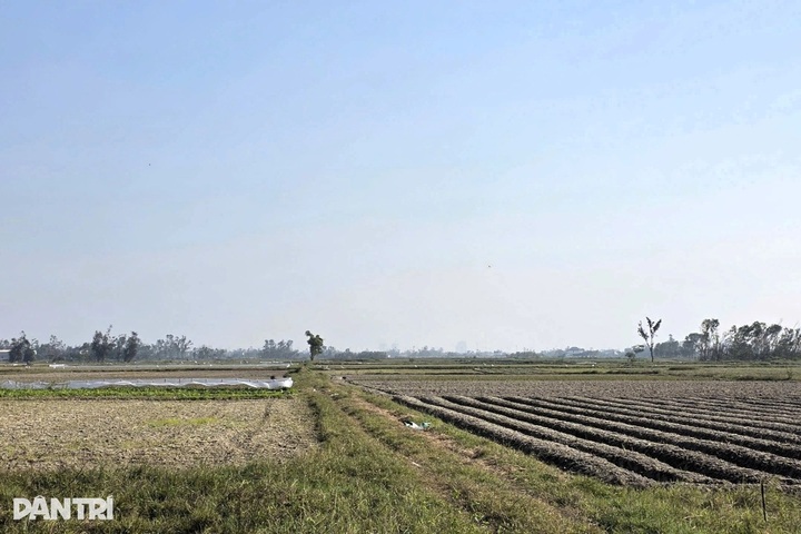 Nghe An proposes VND 4.26 trillion administrative complex - 1 Nghe An proposes VND 4.26 trillion administrative complex - 1