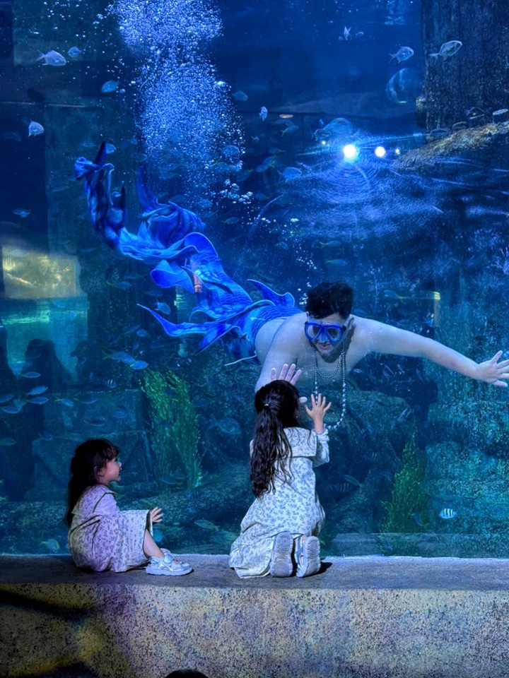 108kg ‘merman’ draws crowds at Nha Trang aquarium - 3