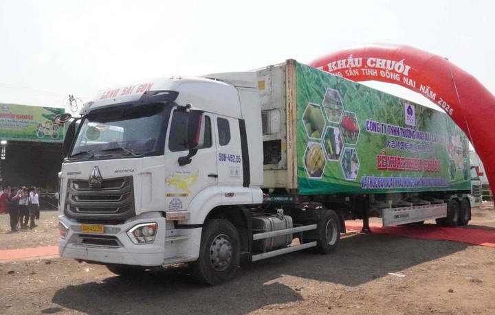 Dong Nai launches 220-tonne fresh banana export - 1