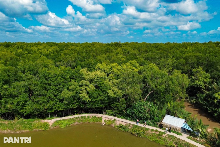 Exploring Monkey Island in the Mekong Delta’s largest mangrove forest - 2