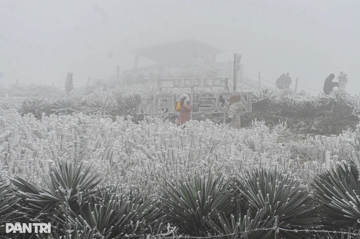 Mau Son cable car project set for 2027 launch - 1 Mau Son cable car project set for 2027 launch - 1