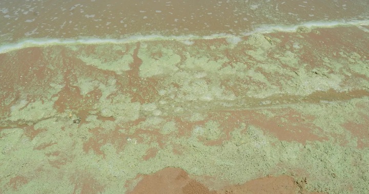 Unusual foam and colour changes reported at Vung Tau beach - 2 Unusual foam and colour changes reported at Vung Tau beach - 2