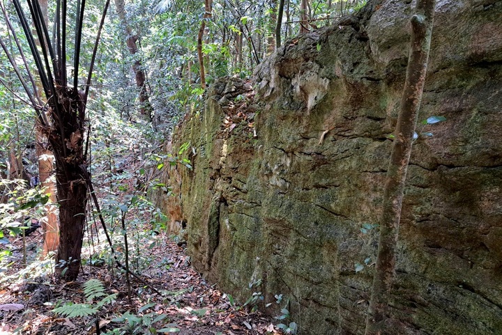 Quang Tri surveys 150 metre rock wall in protected forest - 1