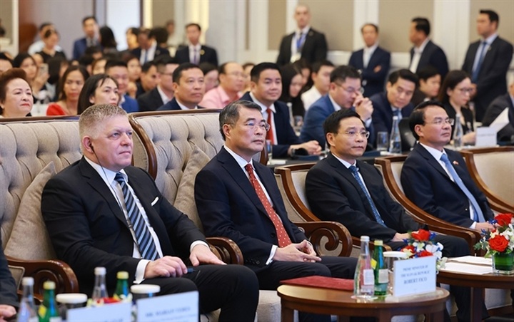 Slovakia pledges support for Vietnamese businesses - 1