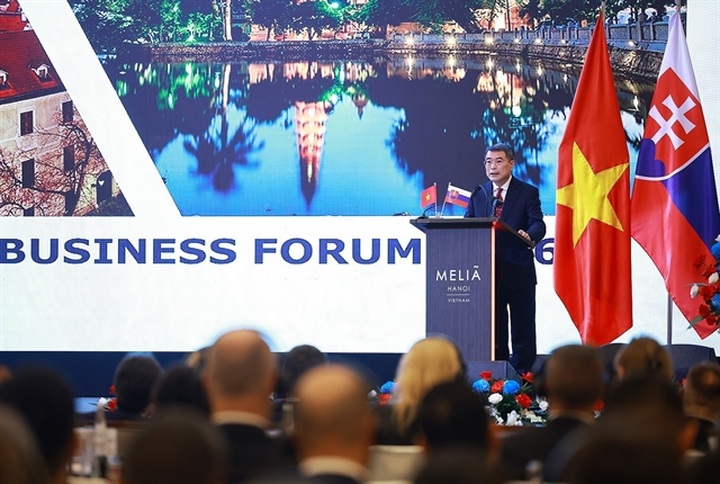 Slovakia pledges support for Vietnamese businesses - 2