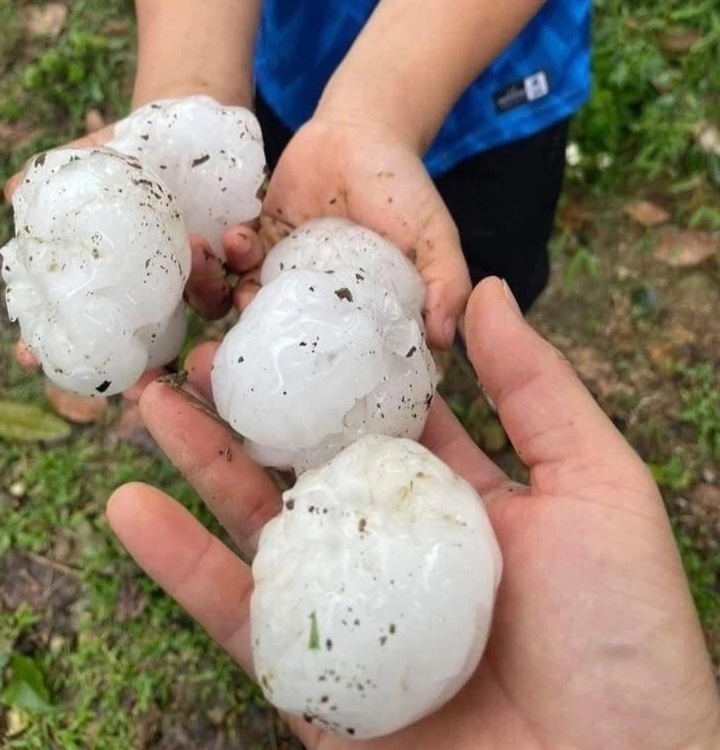 Hailstorms, strong winds injure five, damage 350 houses in northern Vietnam - 1