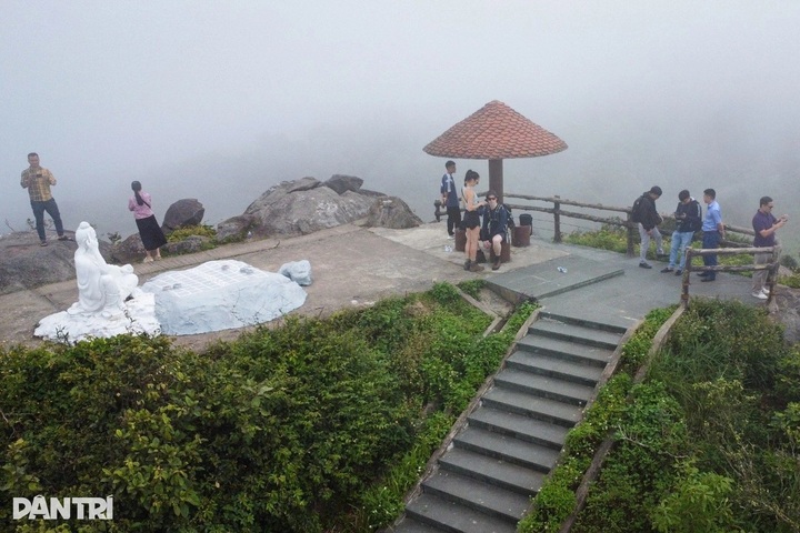 Danang plans tea-tasting tours atop Ban Co Peak - 1
