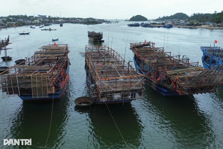 Quang Ngai tightens fishing controls to lift EU yellow card - 1 Quang Ngai tightens fishing controls to lift EU yellow card - 1