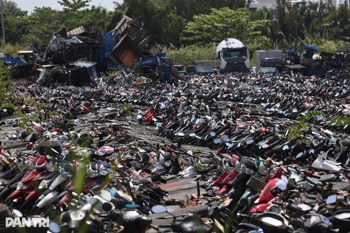 Over 36,000 seized motorbikes auctioned for USD 1.1 million in HCM - 1