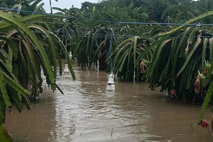Heavy rain cause widespread flooding in Lam Dong - 1
