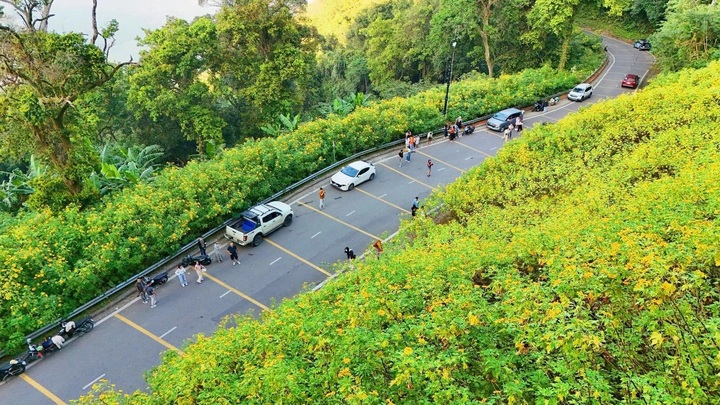 Hanoi scales back Ba Vi safari proposal to 300 hectares - 1