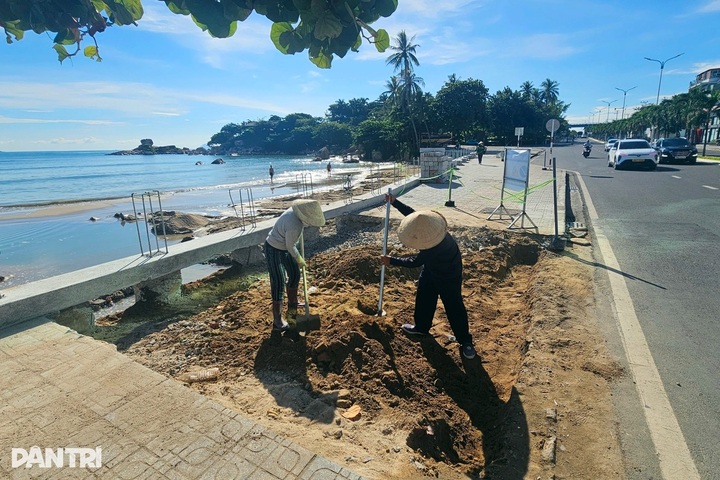 Nha Trang lowers seaside pavement to ease flooding - 1