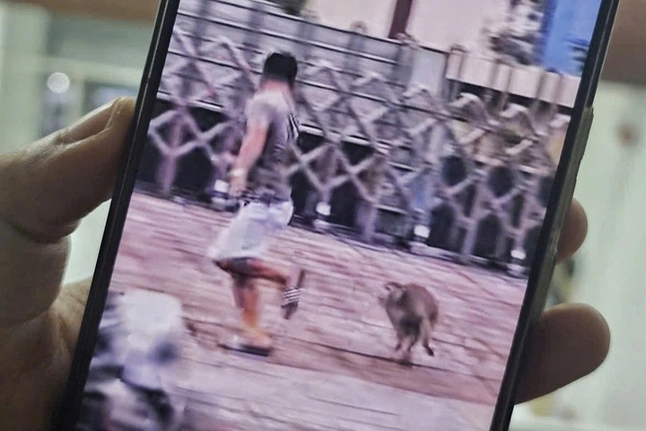Monkey captured after chasing pedestrians in HCM City - 1 Monkey captured after chasing pedestrians in HCM City - 1