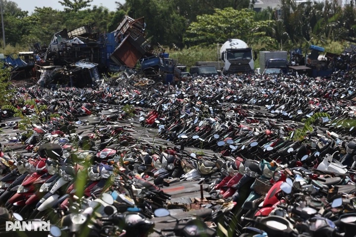 HCM City to auction 18,500 seized motorbikes as scrap - 1