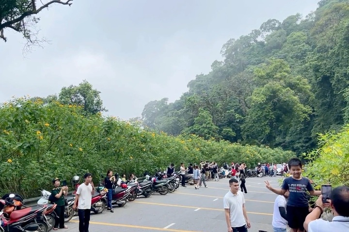 Ba Vi National Park bans reckless riders during flower season - 1