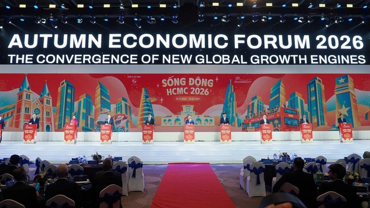 HCM City aims to become a global metropolis - 2