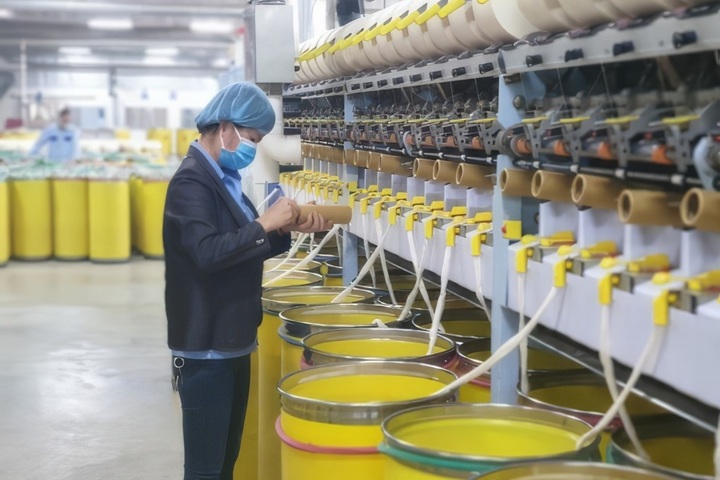 Thua lỗ liên tục, một công ty sợi muốn kinh doanh thêm bất động sản - 1