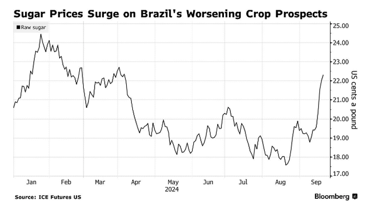 Giá đường tăng mạnh nhất trong gần 20 năm qua - 1 Giá đường tăng mạnh nhất trong gần 20 năm qua - 1
