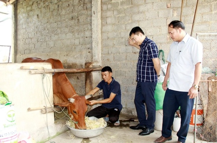 Tạo sinh kế cho người dân để giảm nghèo bền vững - 2