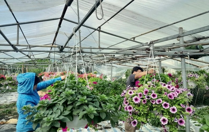 Đa dạng hoá sinh kế, phát triển các mô hình giảm nghèo bền vững - 1 Đa dạng hoá sinh kế, phát triển các mô hình giảm nghèo bền vững - 1