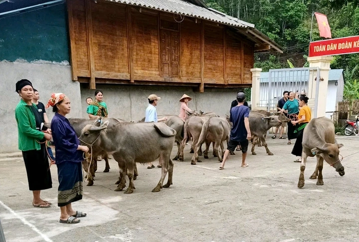 Thanh Hoá nỗ lực thực hiện mục tiêu quốc gia giảm nghèo bền vững - 1