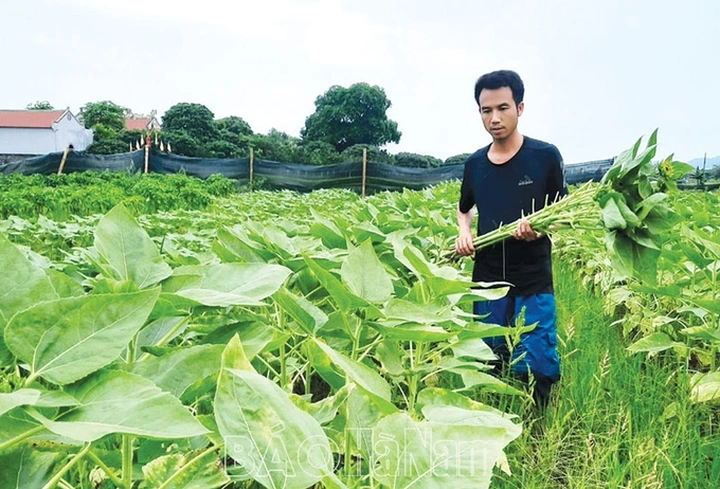 Hà Nam: Giảm nghèo đa chiều bền vững - 1 Hà Nam: Giảm nghèo đa chiều bền vững - 1