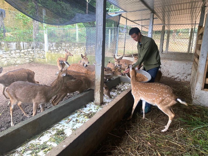 Giới trẻ khởi nghiệp nghề nông theo xu hướng xanh - 2 Giới trẻ khởi nghiệp nghề nông theo xu hướng xanh - 2