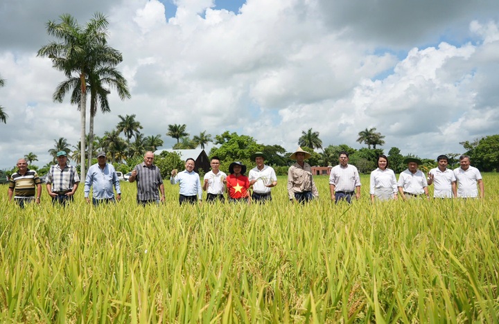 Câu chuyện của những hạt giống hạnh phúc - 1