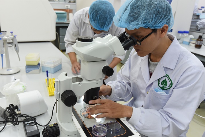 Thị trường lao động TPHCM: Bức tranh đa sắc diện - 1 Thị trường lao động TPHCM: Bức tranh đa sắc diện - 1