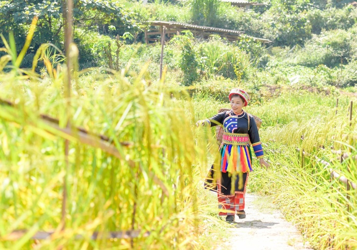 Hợp tác xã - “Bà đỡ mát tay” giúp dân thoát nghèo - 2 Hợp tác xã - “Bà đỡ mát tay” giúp dân thoát nghèo - 2