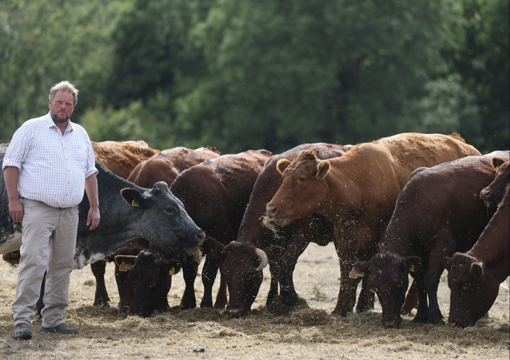 Anh: Hạn hán nghiêm trọng khiến nông dân gặp khó - 1 Anh: Hạn hán nghiêm trọng khiến nông dân gặp khó - 1